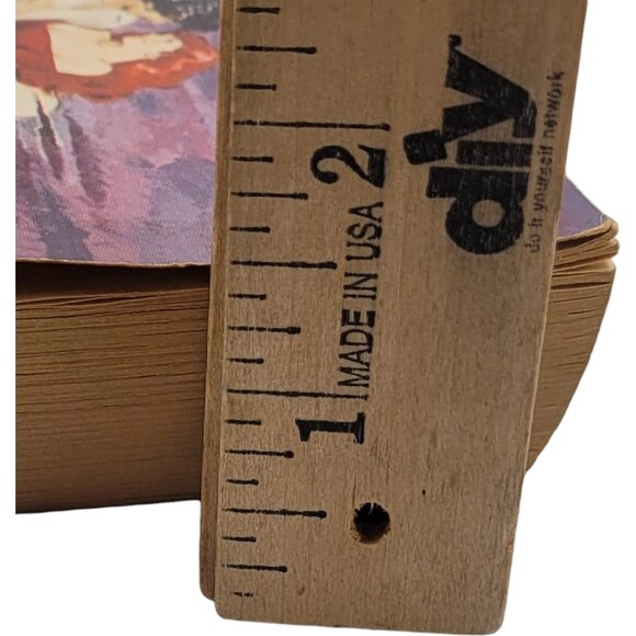 This Ravaged Heart by Barbara Riefe – 1977 Vintage Romance Paperback - Picture 13 of 13